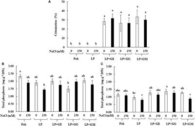 Alleviation of Salt Stress in Upland Rice (Oryza sativa L. ssp. indica cv. Leum Pua) Using Arbuscular Mycorrhizal Fungi Inoculation